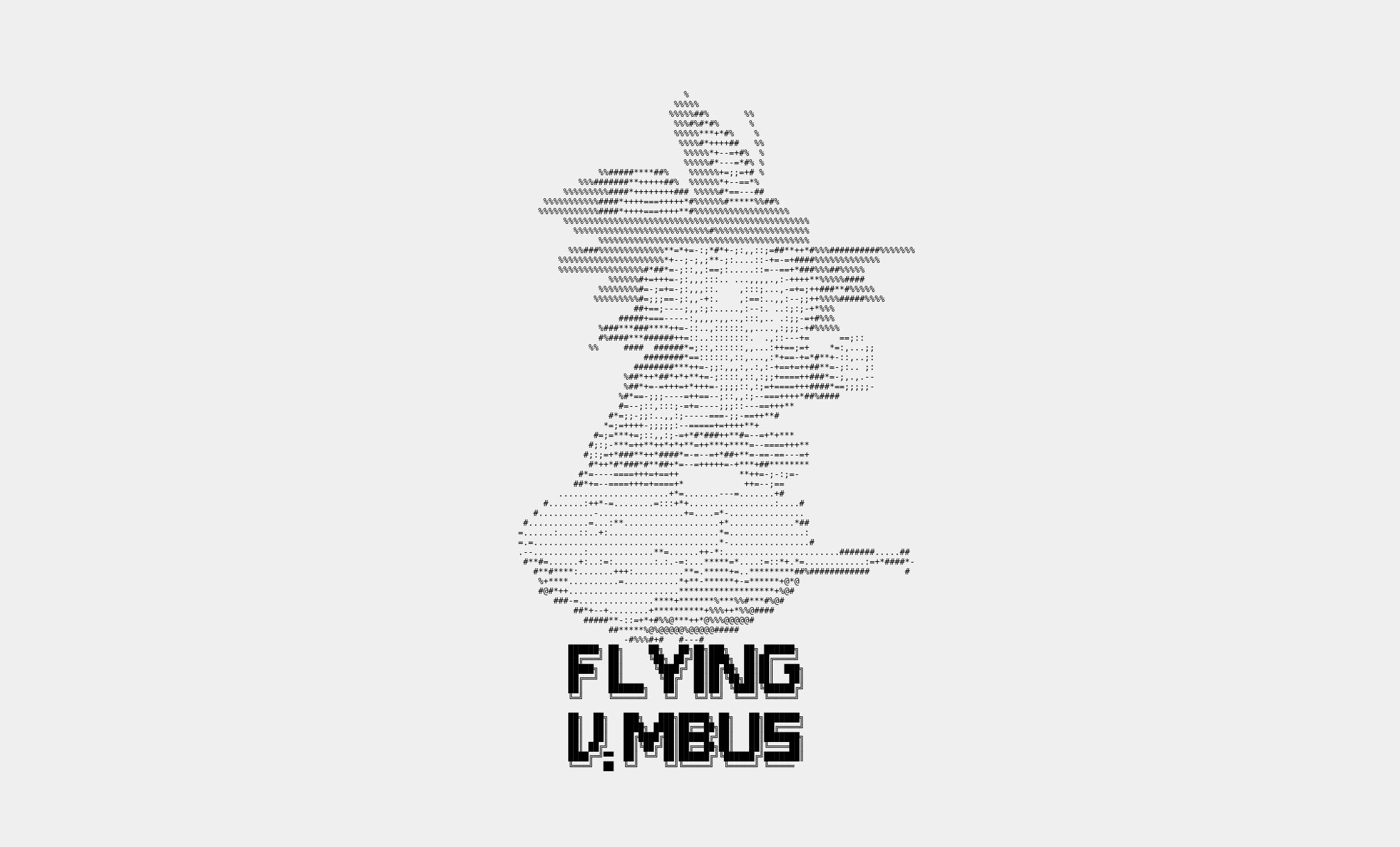 Flying Nimbus splash screen